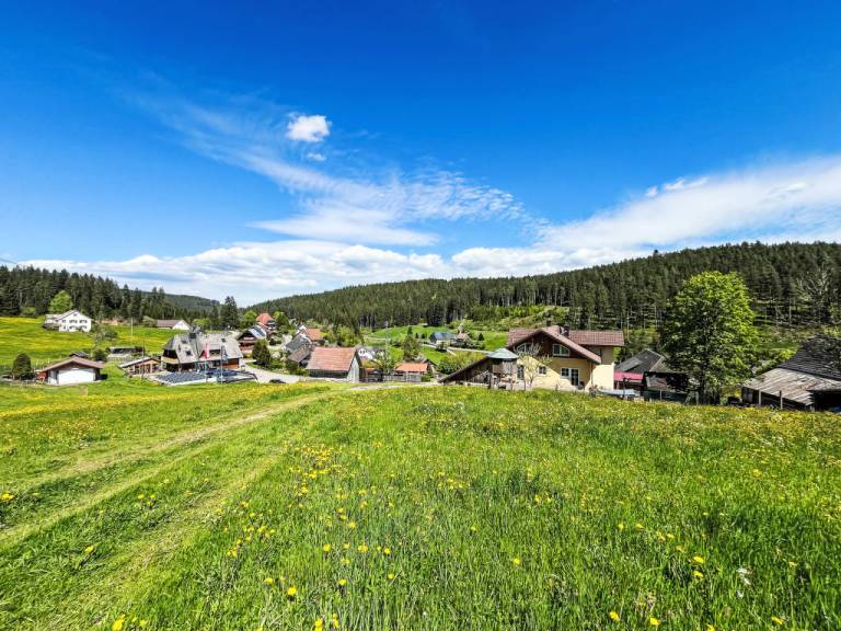 foto2