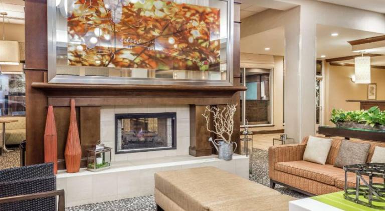 Hilton Garden Inn Gainesville — photo 3