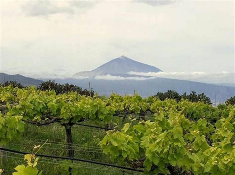 Casa rural Tosca de Ana Maria