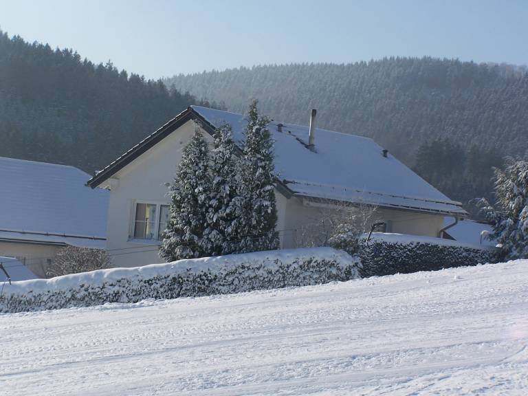 Ferienwohnung  Willingen (Upland)