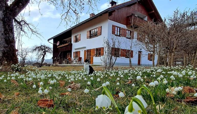 Ferienwohnung Oberjoch