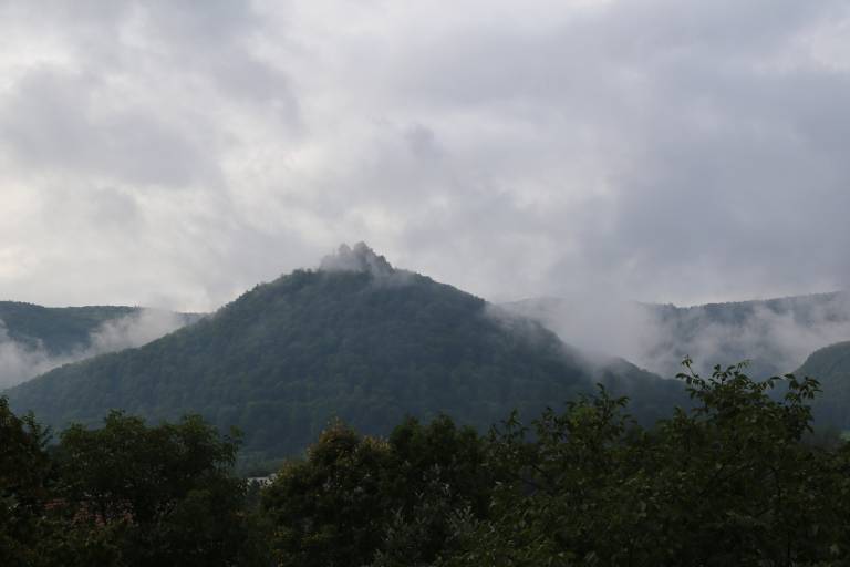 foto40