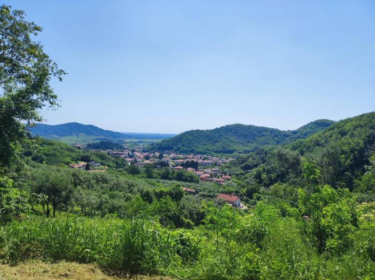 Appartamento  Montegrotto Terme