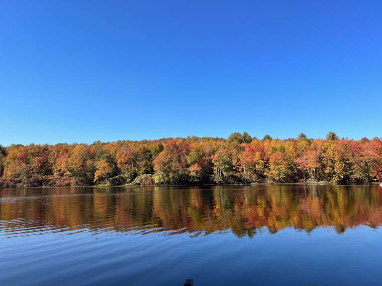 Cabin White Lake