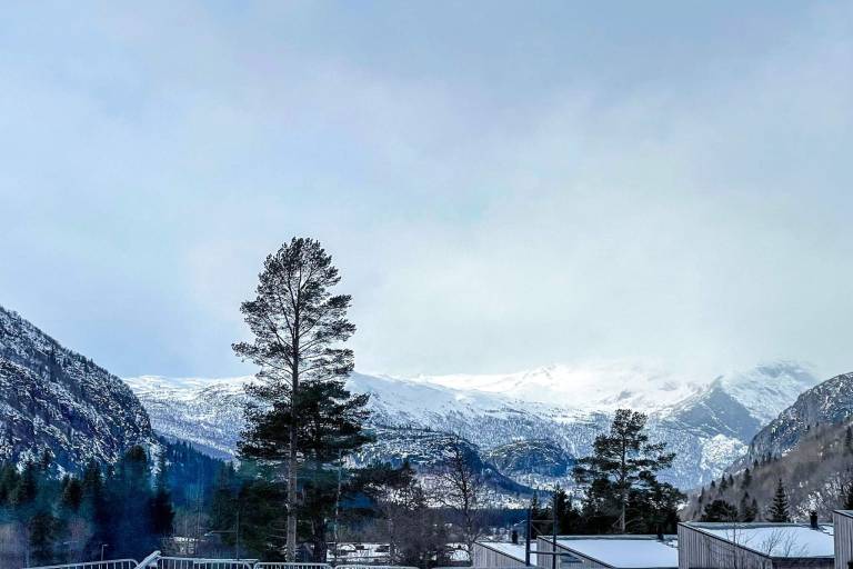 Leilighet Hemsedal