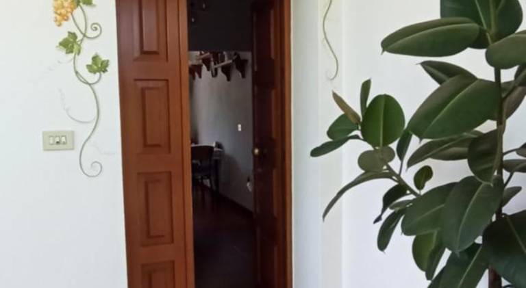 Wonderful house | Pets allowed in Portoferraio
