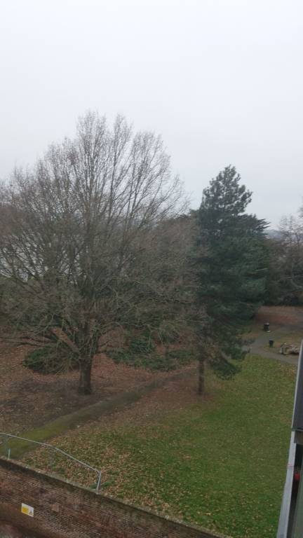 Apartment  South Norwood