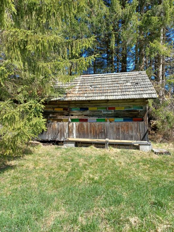 Apartment with BBQ, yard & sauna — photo 4