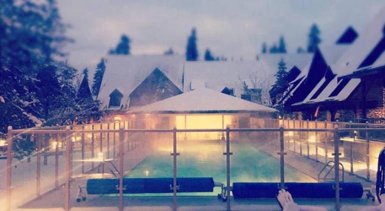 Marvellous Poolside Chalet - Pool & Hot Tub - Pets — photo 4
