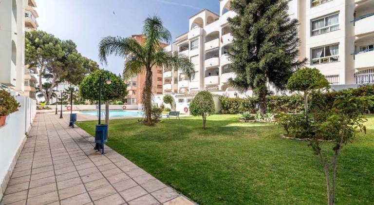 Apartment with pool | Pets allowed — photo 3