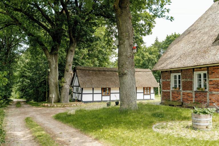 Ferienhaus Adendorf