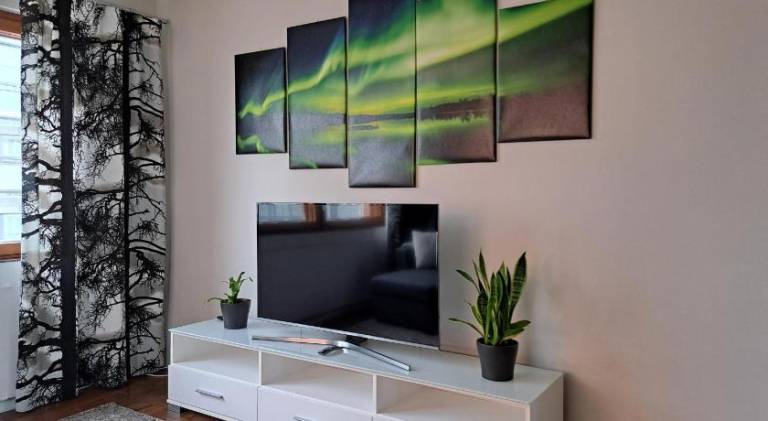 Rental apartment | Near Arktikum Science Museum | Pet-friendly — photo 2