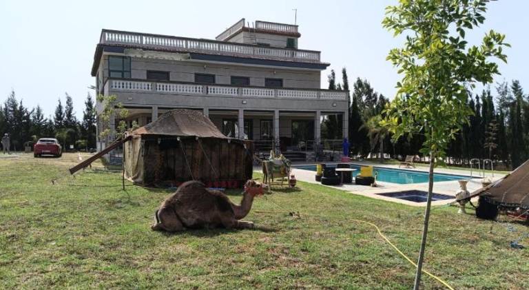 House with pool | Pets are welcome — photo 5