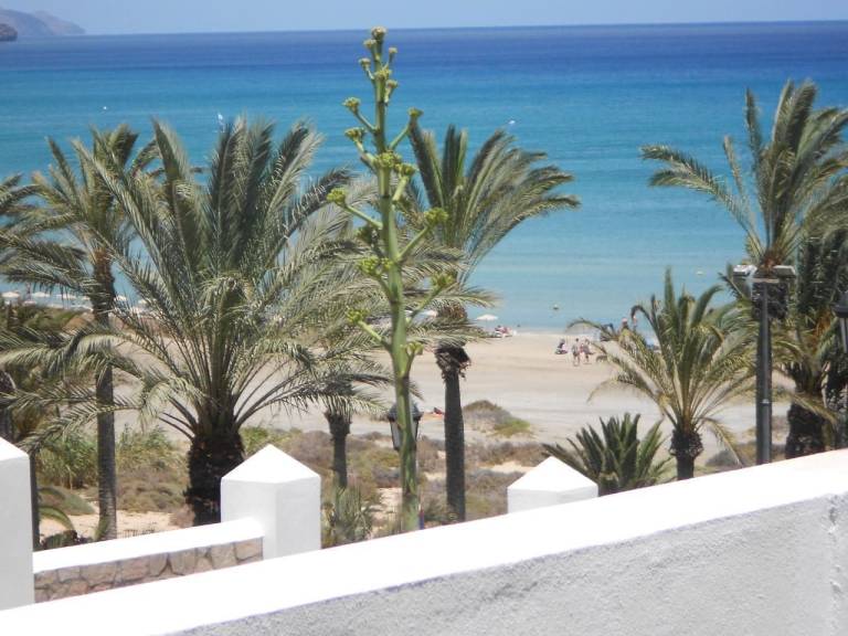 Ferienwohnung in Costa Calma, Fuerteventura für max. 3 Personen