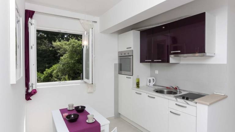 Apartman  Saplunara