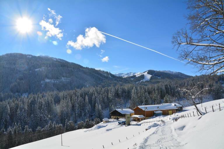 Ferienhaus Mühlbach am Hochkönig