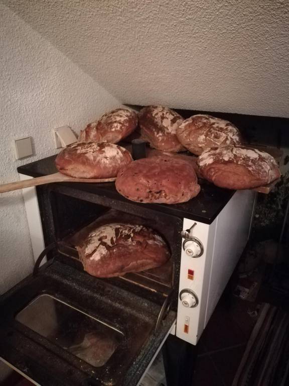 foto12