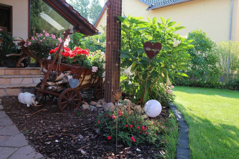 Ferienwohnung Felixsee