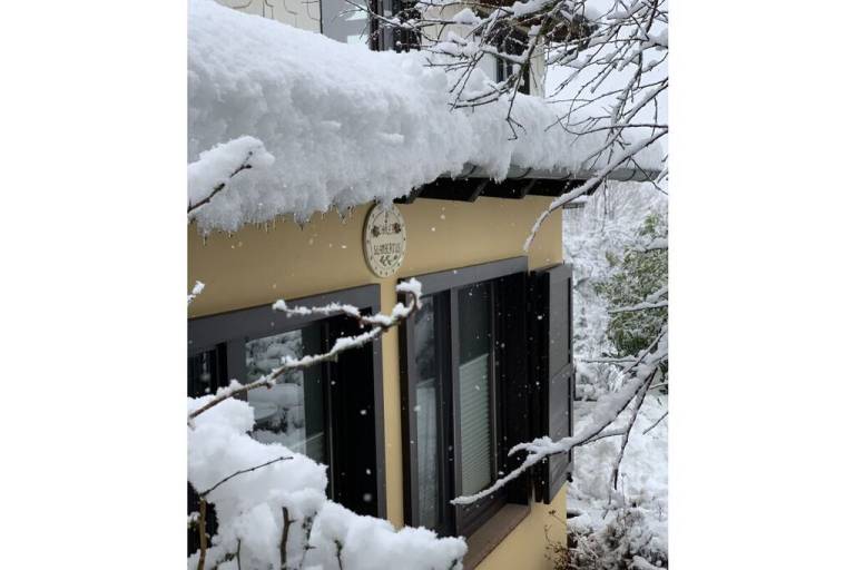 Chalet with garden, patio & barbecue — photo 4