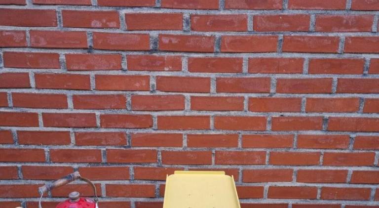 foto43