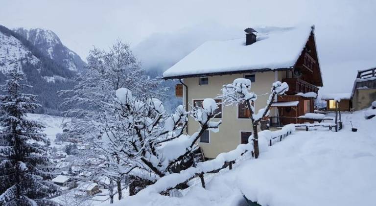 Rental apartment with pool, patio & garden | Pet-friendly in Bad Gastein