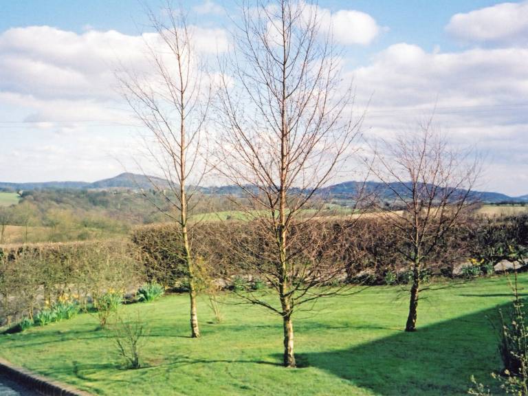 foto12