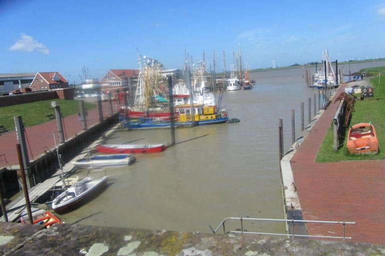 foto16