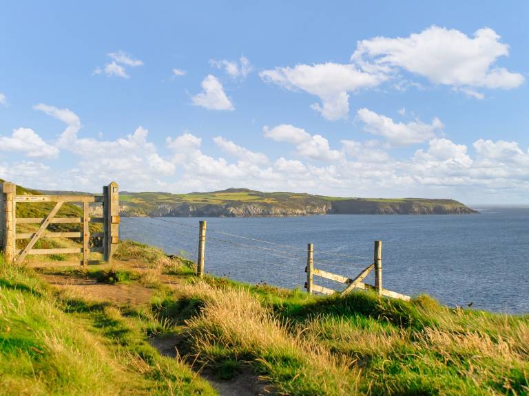 Cottage Solva