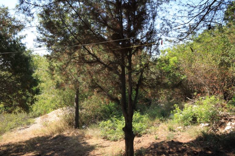 foto11