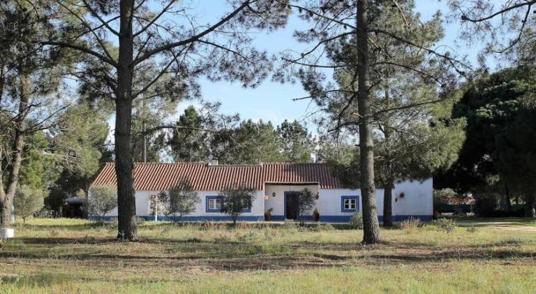 Fully equipped lovely house with patio, garden & private pool | Pet-friendly in Setubal