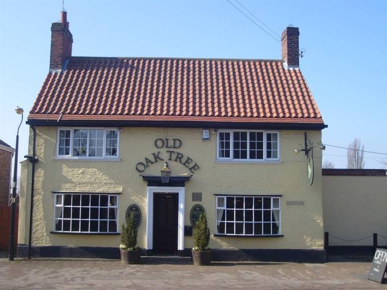 Old Oak Tree in Thirsk