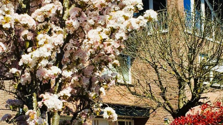 Ferienwohnung Raesfeld