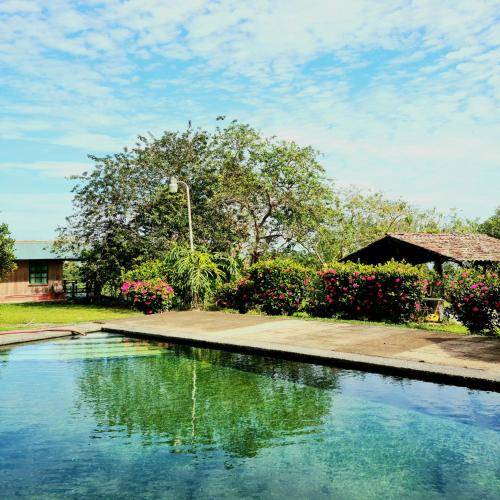 38 m² Lodge