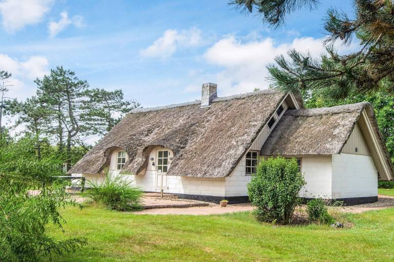 Ferienhaus in Lodbjerg Hede f&uuml;r max. 5 Personen