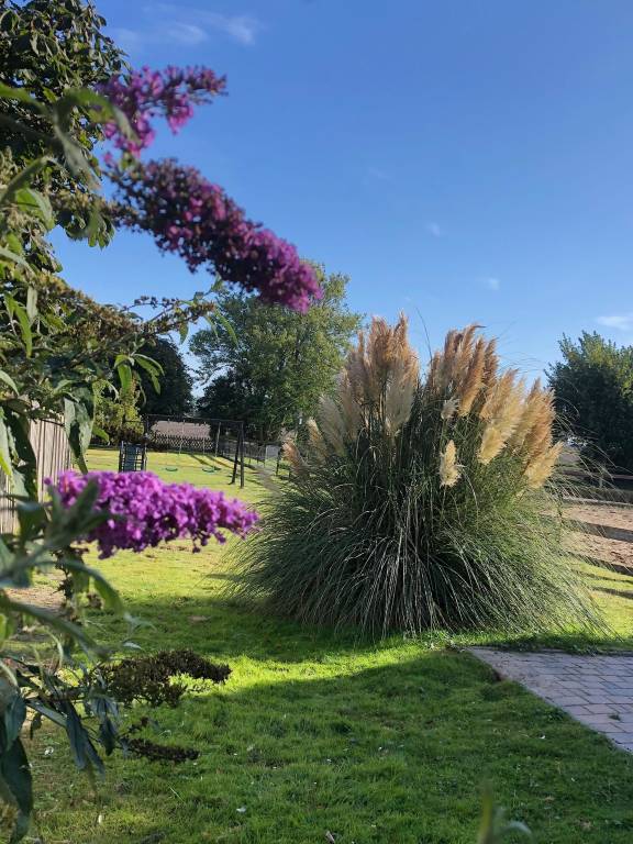 foto12