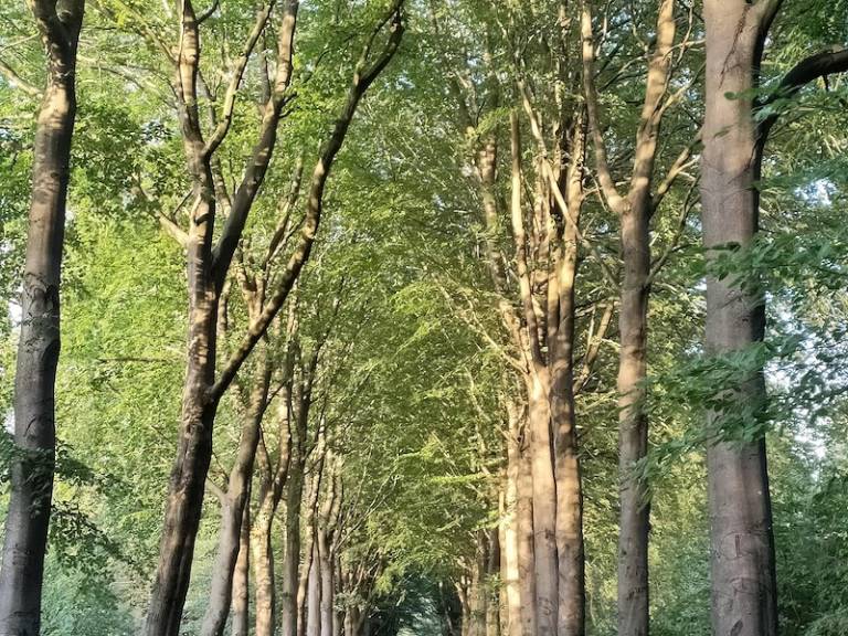 foto29