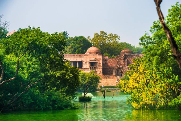 Bed and breakfast Sanjay Van