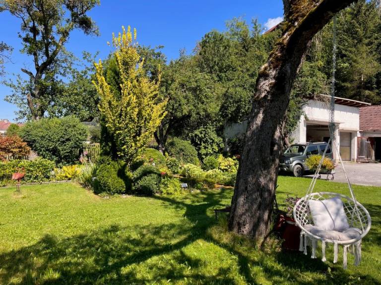 foto18