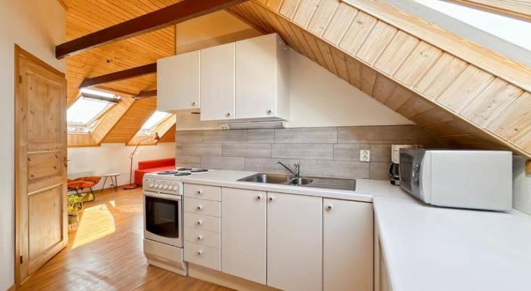 Apartment with 1 room for 4 persons — photo 4