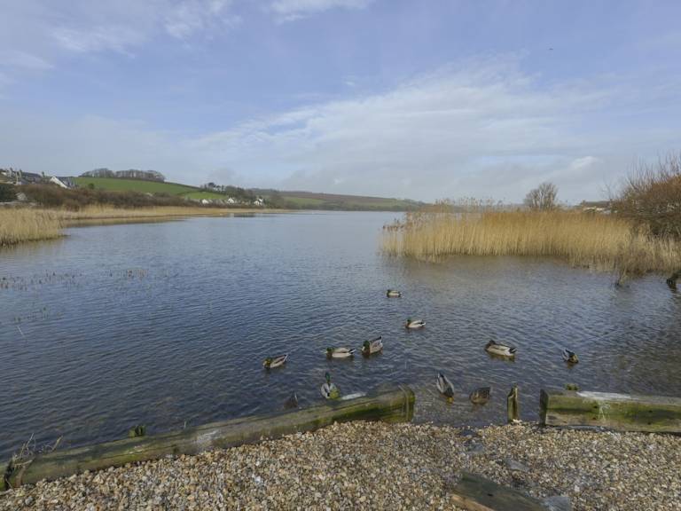 Cottage  Torcross