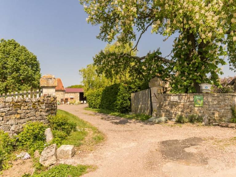 foto1