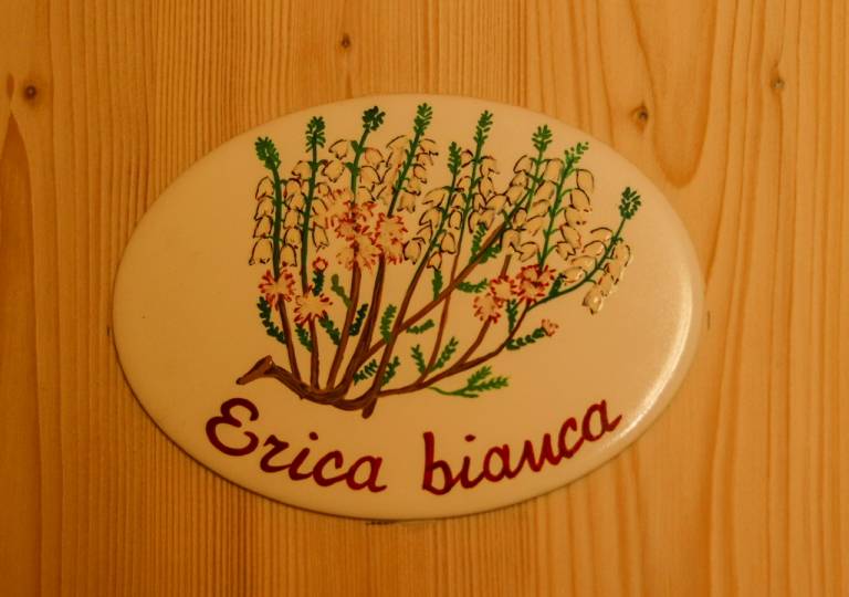foto33