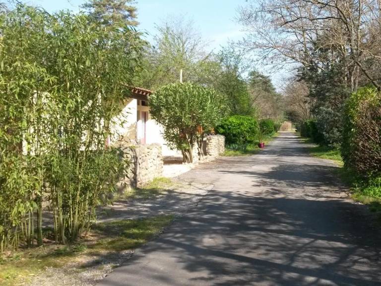 foto41