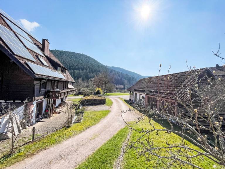 foto20