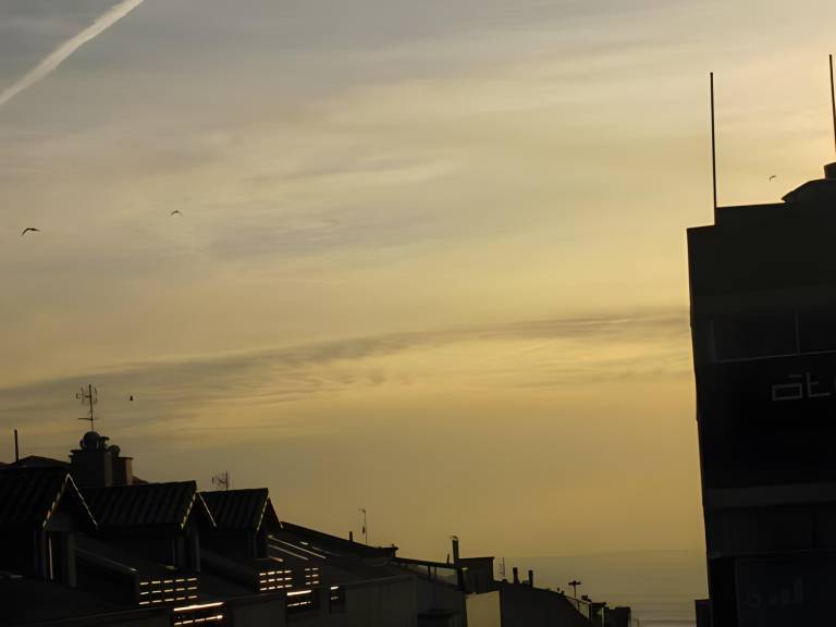 foto31