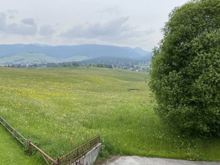 foto13
