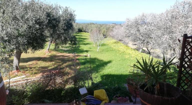 House with 2 rooms for 6 persons — photo 4