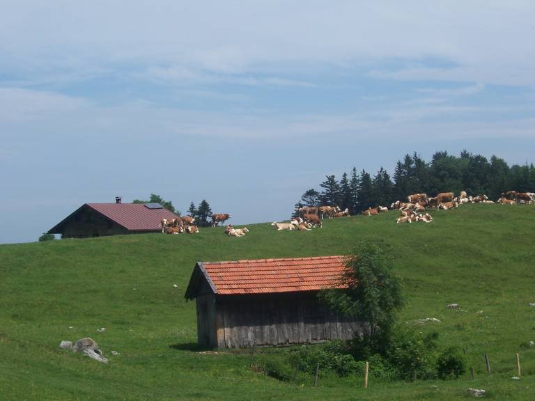 foto13