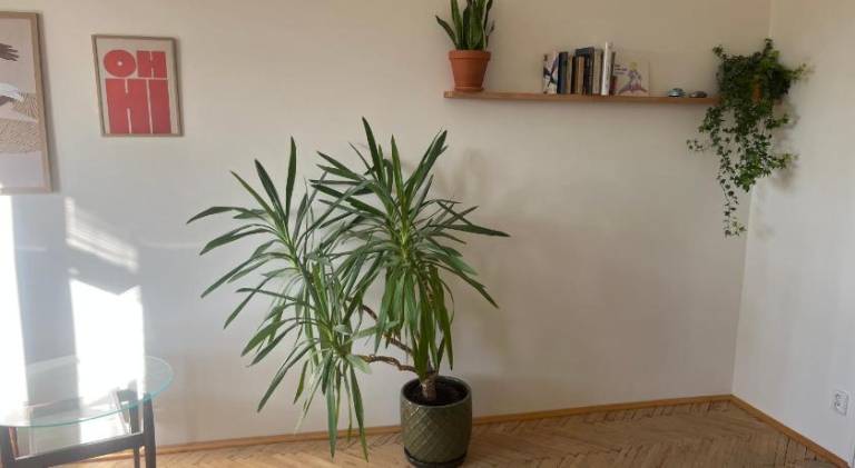 Rental apartment with 1 room for 3 persons — photo 5