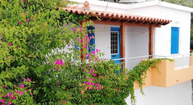 Wonderful holiday apartment with patio, pool & yard | Beach nearby | Pets allowed in Samos